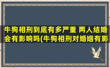 牛狗相刑到底有多严重 两人结婚会有影响吗(牛狗相刑对婚姻有影响吗？这种民间信仰的*是什么？)